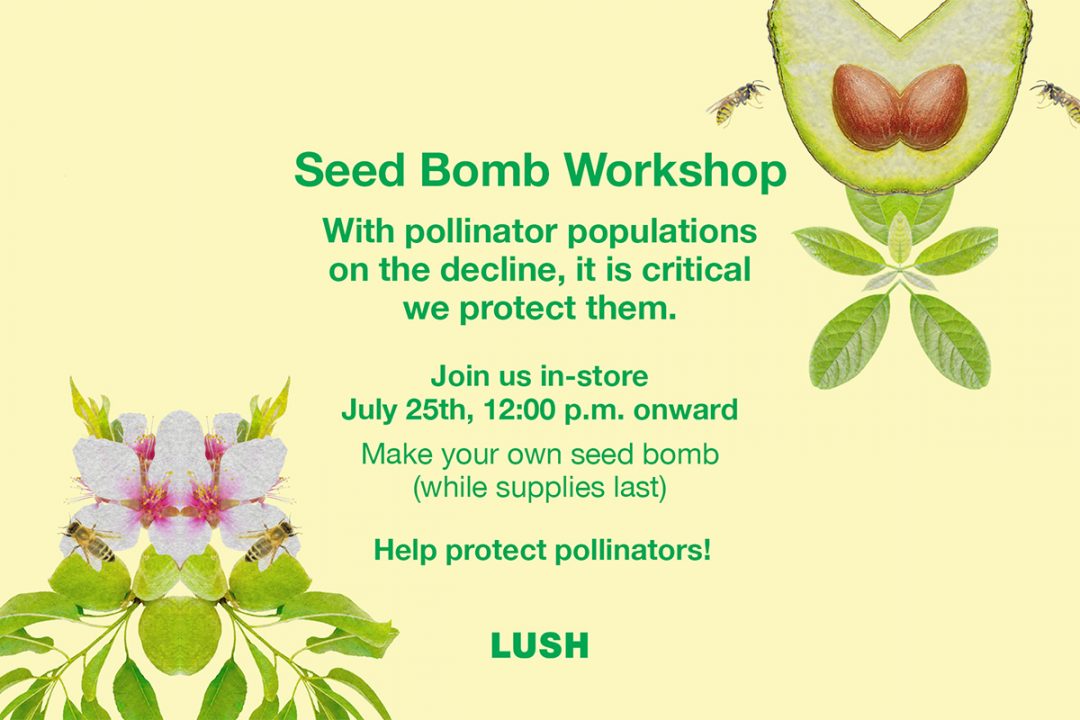 Lush Seed Bomb Web